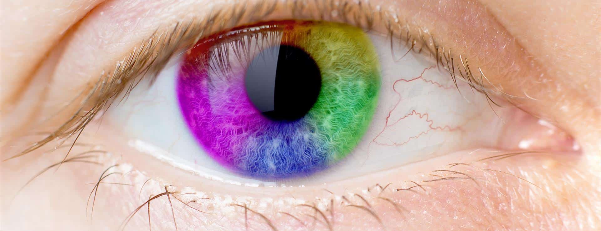 Kleurenblind (kleurenzien stoornis) Eyescan